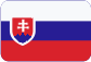 Modelli di alianti Slovensky